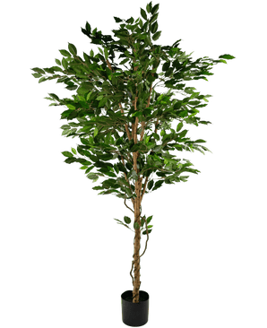 Künstliche Pflanze Ficus Grün 210 cm