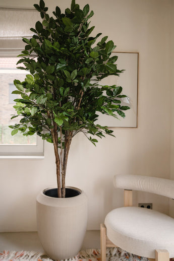 Künstliche Pflanze Ficus Grün 210 cm