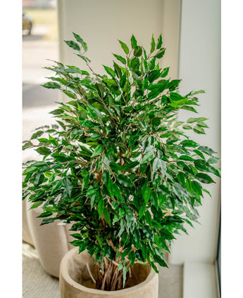 Künstliche Pflanze Ficus Liana 120 cm