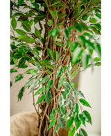 Künstliche Pflanze Ficus Liana 180 cm