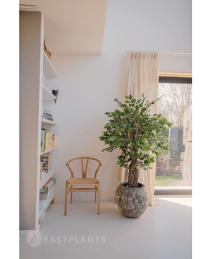 Künstliche Pflanze Ficus Tropical Liana 150 cm