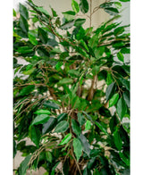 Künstliche Pflanze Ficus Tropical Liana 150 cm