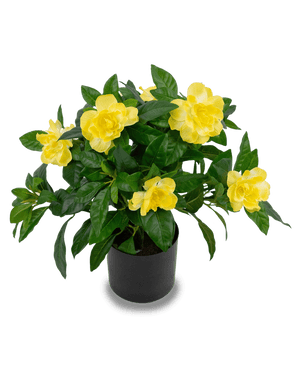 Künstliche Pflanze Gardenia 39 cm