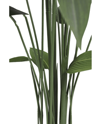 Künstliche Pflanze Heliconia 170 cm