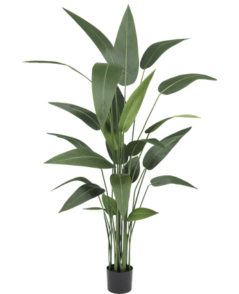 Künstliche Pflanze Heliconia 170 cm