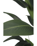 Künstliche Pflanze Heliconia 210 cm