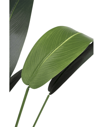 Künstliche Pflanze Heliconia 210 cm