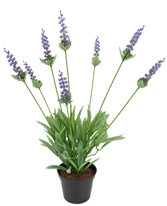 Künstliche Pflanze Lavendel 43 cm