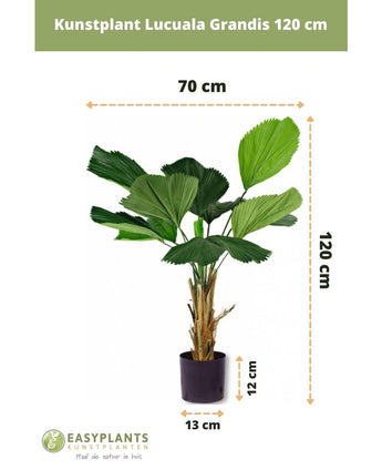 Künstliche Pflanze Lucuala Grandis 120 cm