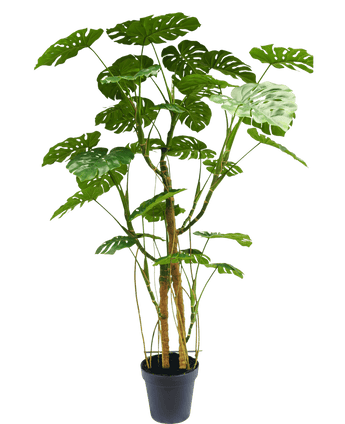 Künstliche Pflanze Monstera 240 cm