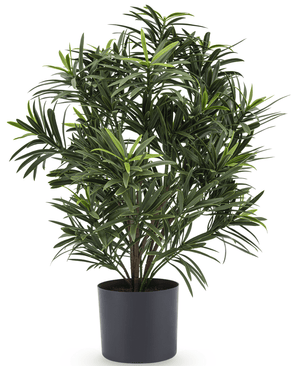 Künstliche Pflanze Podocarpus 47 cm