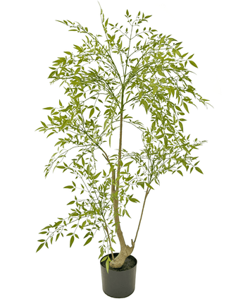 Künstliche Pflanze Ruscus 120 cm