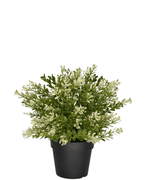 Künstlicher Buxus im Topf 23 cm UV