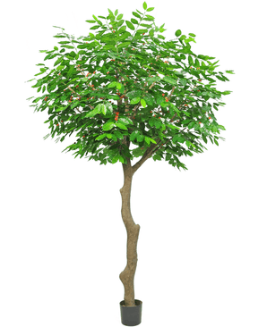 Künstlicher Kaffeebaum 300 cm