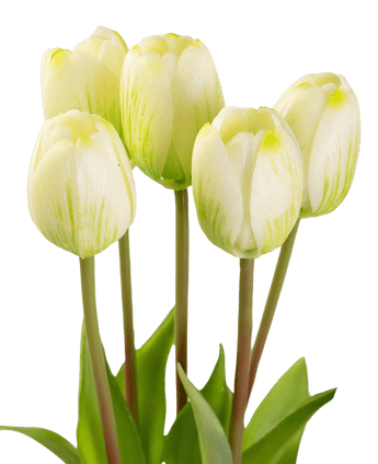 Künstlicher Tulpenstrauß Real Touch Grün/Weiß 40cm