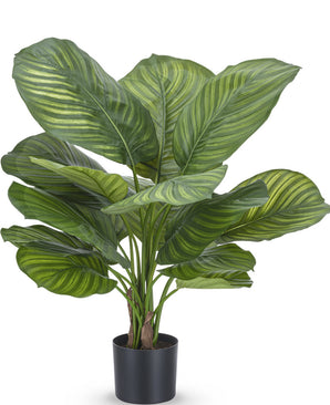 Kunstpflanze Calathea Fasciata 53 cm im Topf