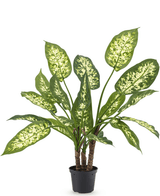 Kunstpflanze Dieffenbachia 60 cm