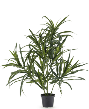 Kunstpflanze Dracaena Reflexa im Topf 63 cm