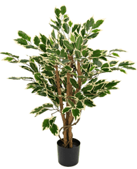 Kunstpflanze Ficus Grün/Weiß 90 cm