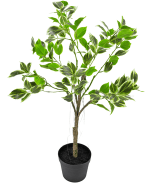 Kunstpflanze Ficus Henryi 60 cm grün/weiß