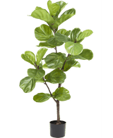 Kunstpflanze Ficus Tobacco Plant Deluxe 125 cm