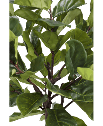 Kunstpflanze Ficus Tobacco Plant Deluxe 215 cm