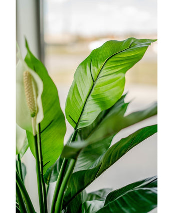 Kunstpflanze Spathiphyllum weiß 85 cm