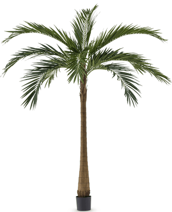 Palme XL Deluxe 270 cm