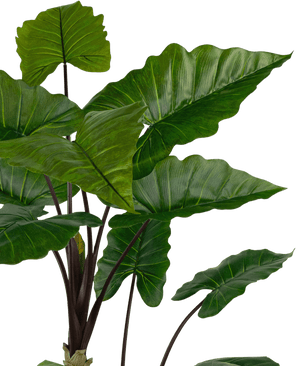 Kunstpflanze Alocasia 180 cm