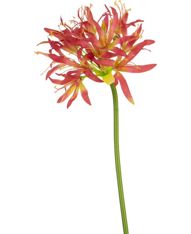 Künstliche Blume Nerine 70 cm fuchsie