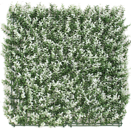 Kunstpflanzen Wand Buxus weiß 50x50 cm UV
