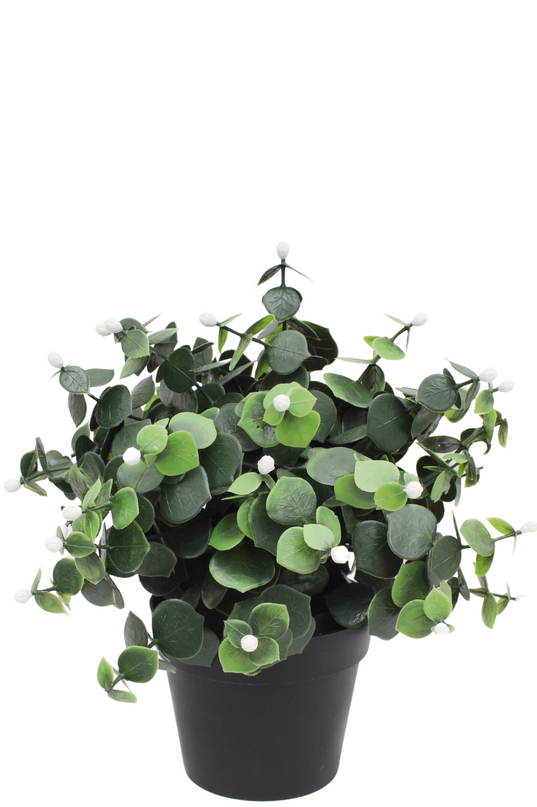 Künstliche Pflanze Eukalyptus weiß im Topf 22 cm UV