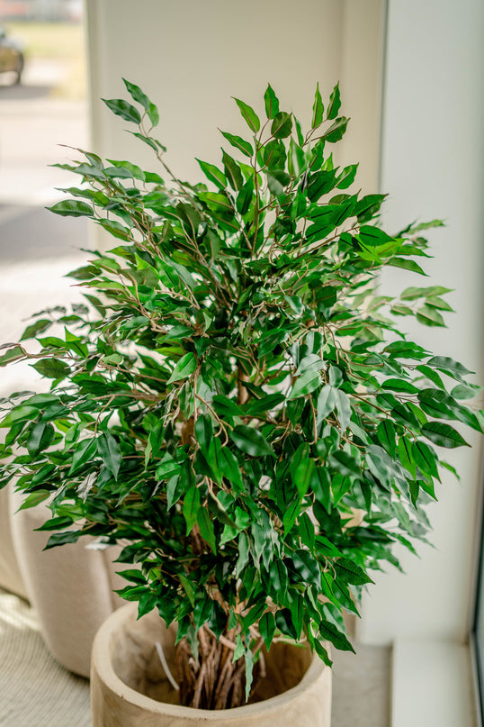 Künstliche Pflanze Ficus Liana 120 cm