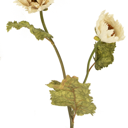 Künstliche Blume Mohnblume Queen 75 cm creme
