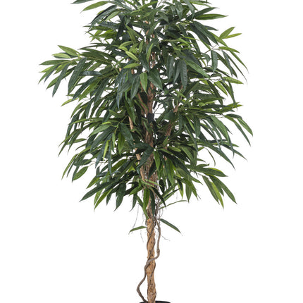 Künstliche Pflanze Longifolia Royale 180 cm