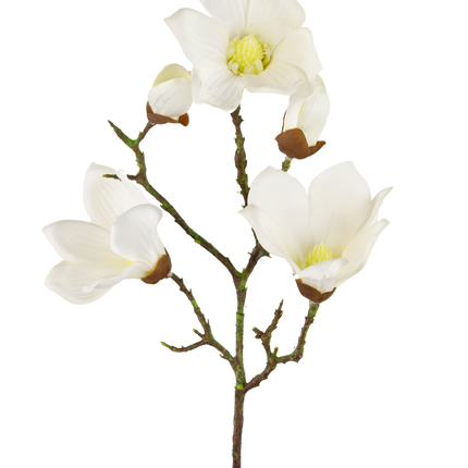 Künstliche Magnolie Real Touch Weiß 72cm
