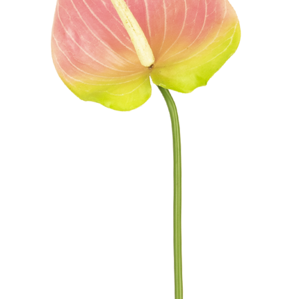 Künstliche Blume Anthurium 65 cm grün/rosa
