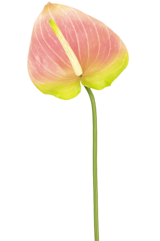 Künstliche Blume Anthurium 65 cm grün/rosa