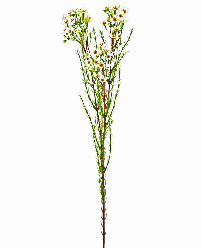 Künstlicher Zweig Waxflower 78 cm creme