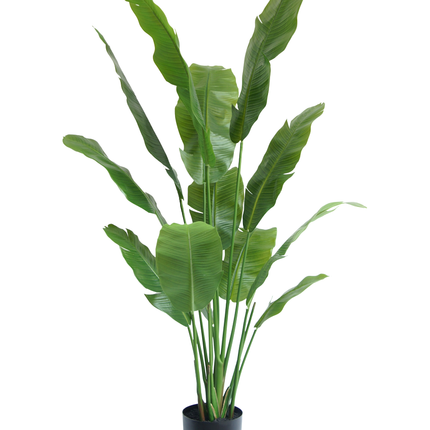 Kunstpflanze Strelitzia Nicolai Deluxe 165 cm