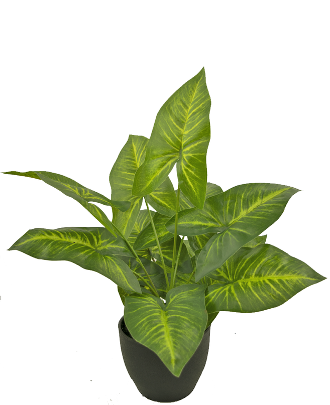 Künstliche Dieffenbachia 40 cm im dekorativen Topf schwarz