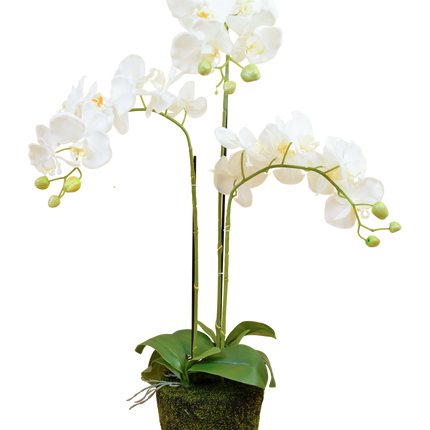 Künstliche Orchidee 118 cm weiß im Topf