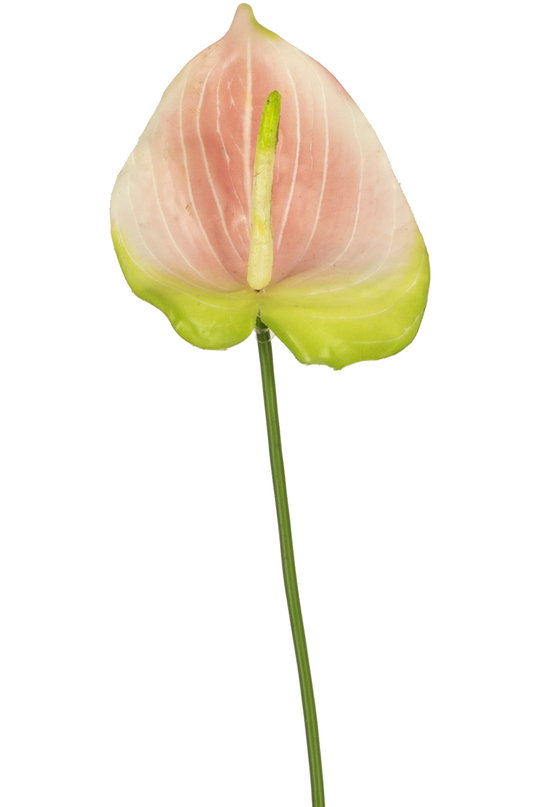 Künstliche Anthurie 65 cm rosa