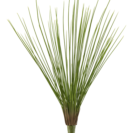 Kunstrasen Royal Grass 60 cm