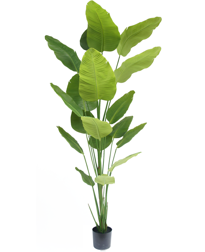 Künstliche Pflanze Strelitzia 240 cm real touch