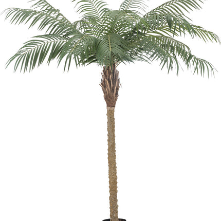 Künstliche Pflanze Phoenix Palm De Luxe 180 cm