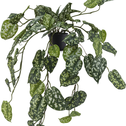 Künstliche Hängepflanze Scindapsus 70 cm