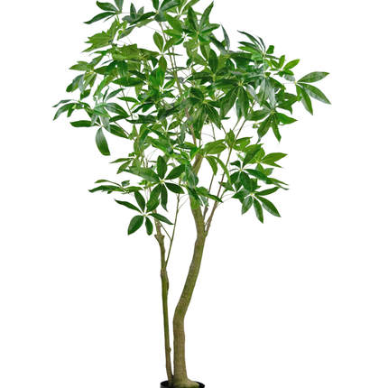 Künstliche Pflanze Pachira 180 cm