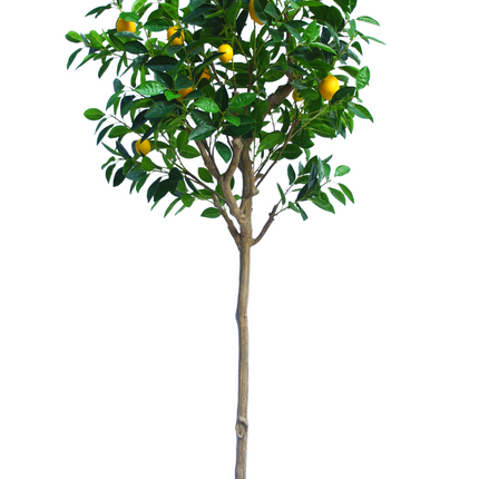 Künstlicher Zitronenbaum 180 cm