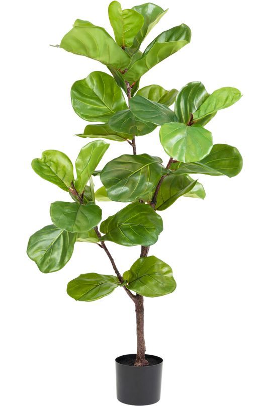 Kunstpflanze Ficus Tobacco Plant Deluxe 125 cm